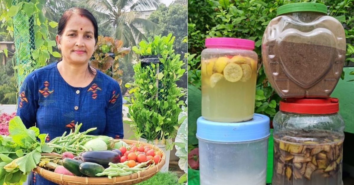 5 Techniques to Make The Final Natural Fertiliser At House For a Thriving Lawn