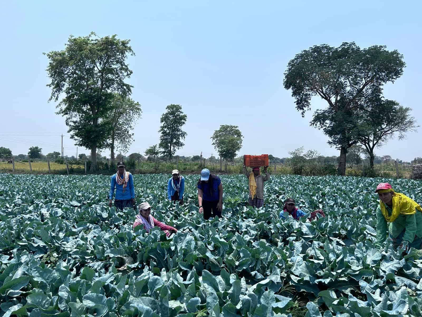 Smarika plans to expand the area under vegetable cultivation.