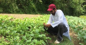 The Horror of Pesticides Pushed This MBA Grad to Start Organic Farming; Earns Rs 4 Crore/Year
