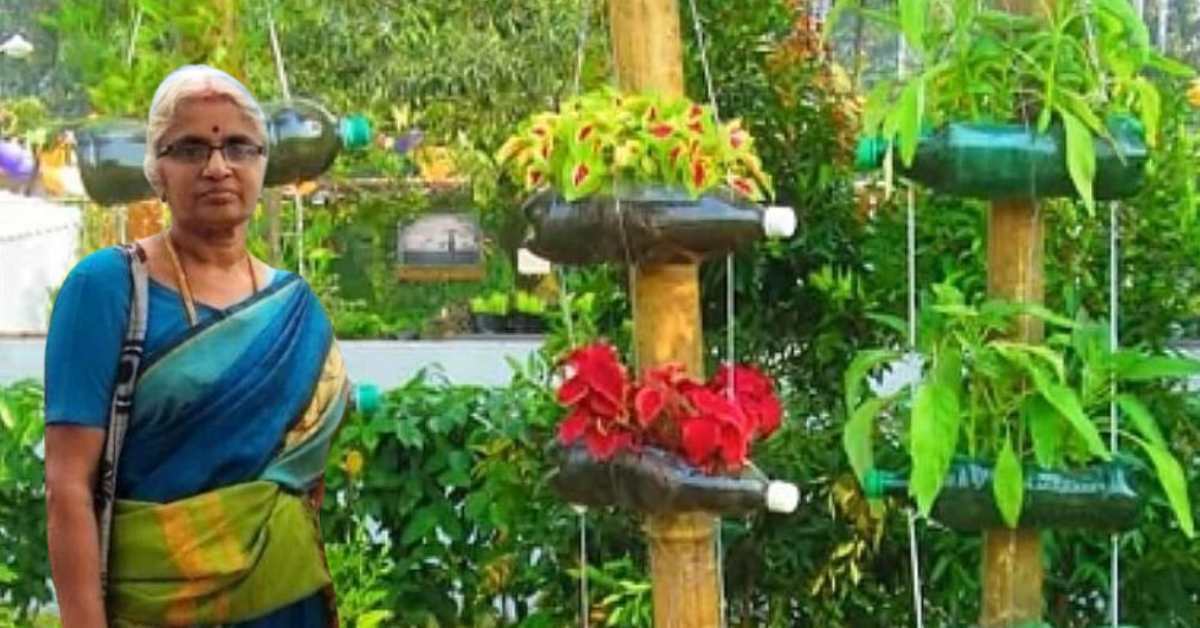 How To Develop Veggies In Recycled Boxes? City Gardeners Give Pointers