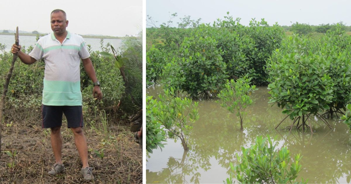 Bijay Kumar Kabi Bijay Kumar Kabi, director at Action for Protection of Wild Animals in Odisha planted a mangrove forest