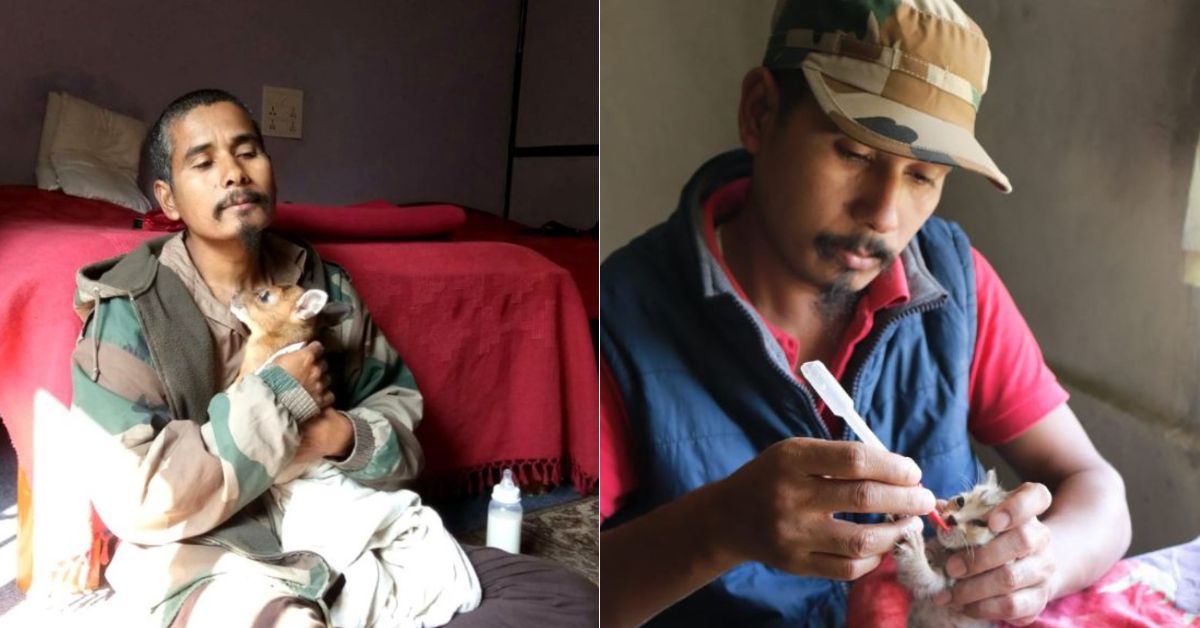 Why This Guy Devoted His Existence To Rescuing The Flora and fauna in Kaziranga