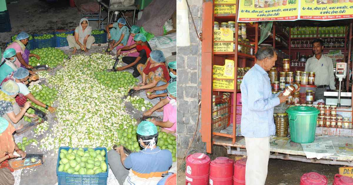 Krishna Yadav established a successful enterprise that manufactures 10 to 20 quintals of pickles daily. 