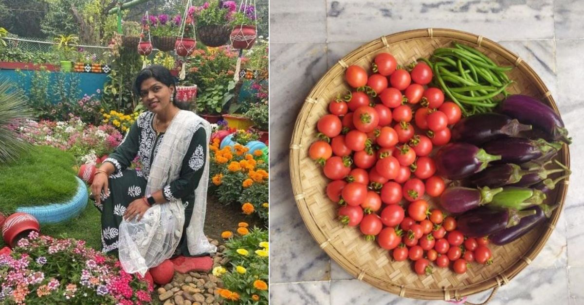 How To Develop Those 5 Monsoon Veggies at House; Be told From a Gardener