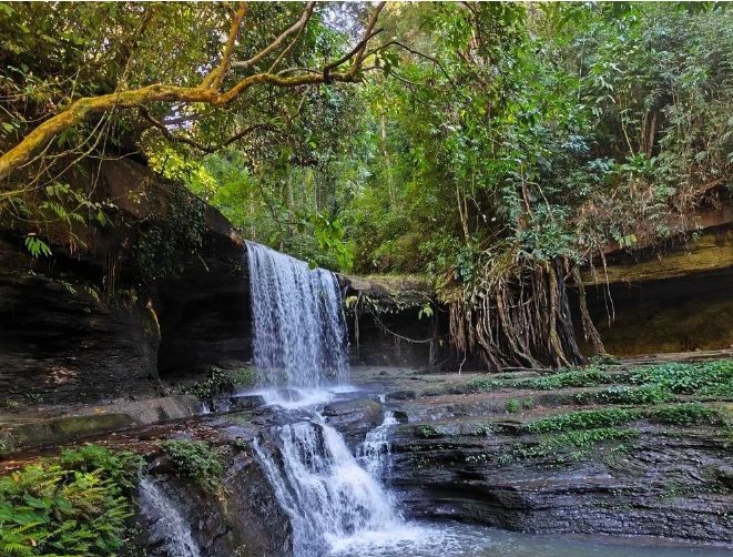 Mizoram is famous for the Tuirihau Falls which remain flowing throughout the year