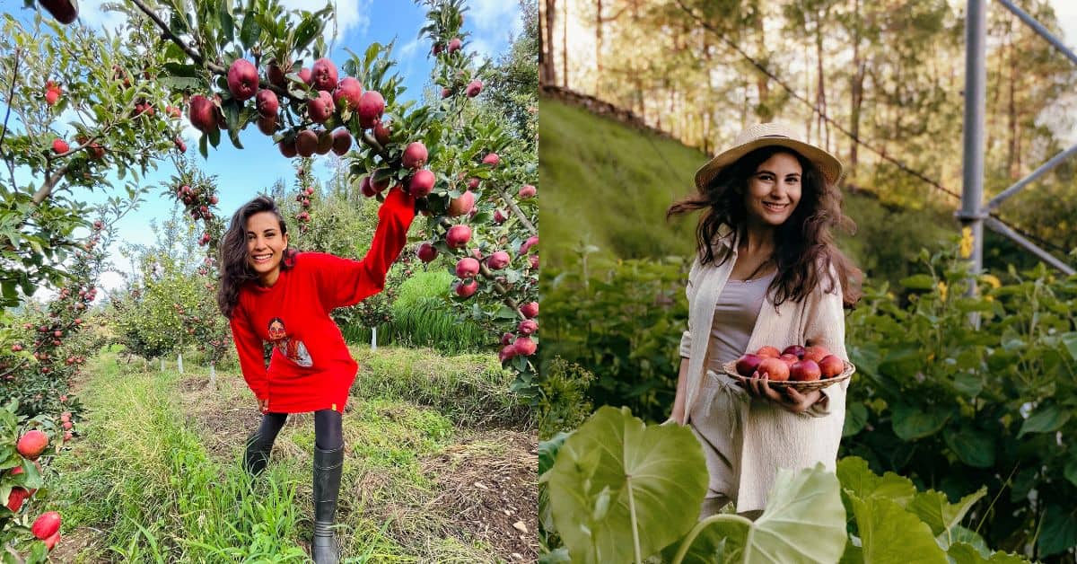 Aprajita Bansal runs Phal Phool, a startup that sells apples