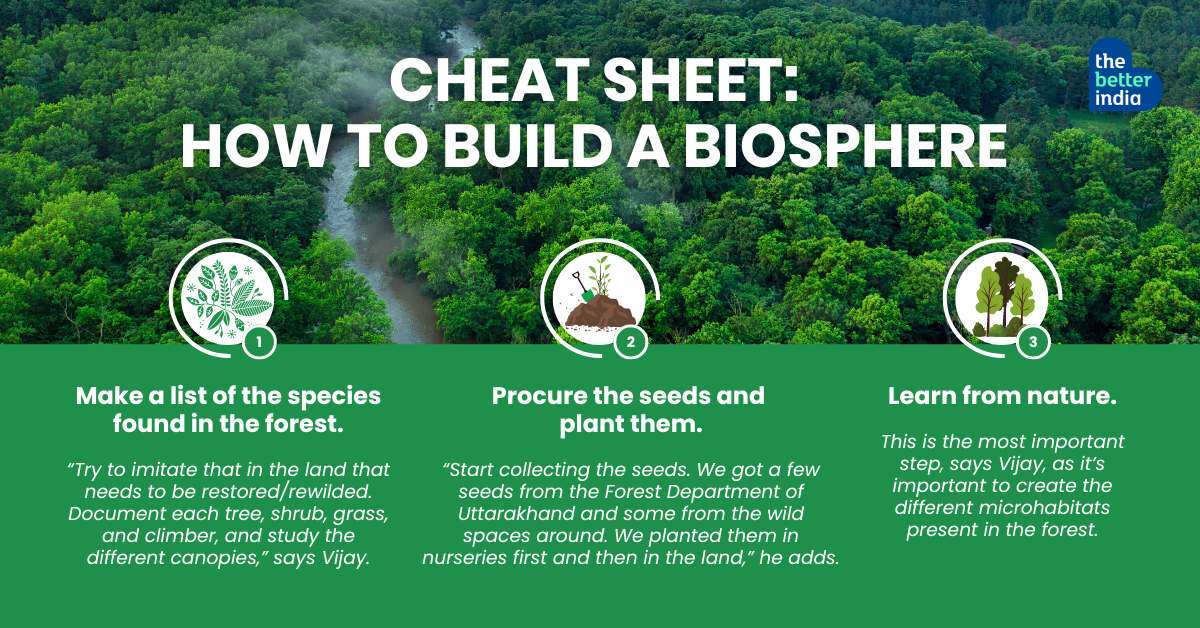 how to build a biosphere