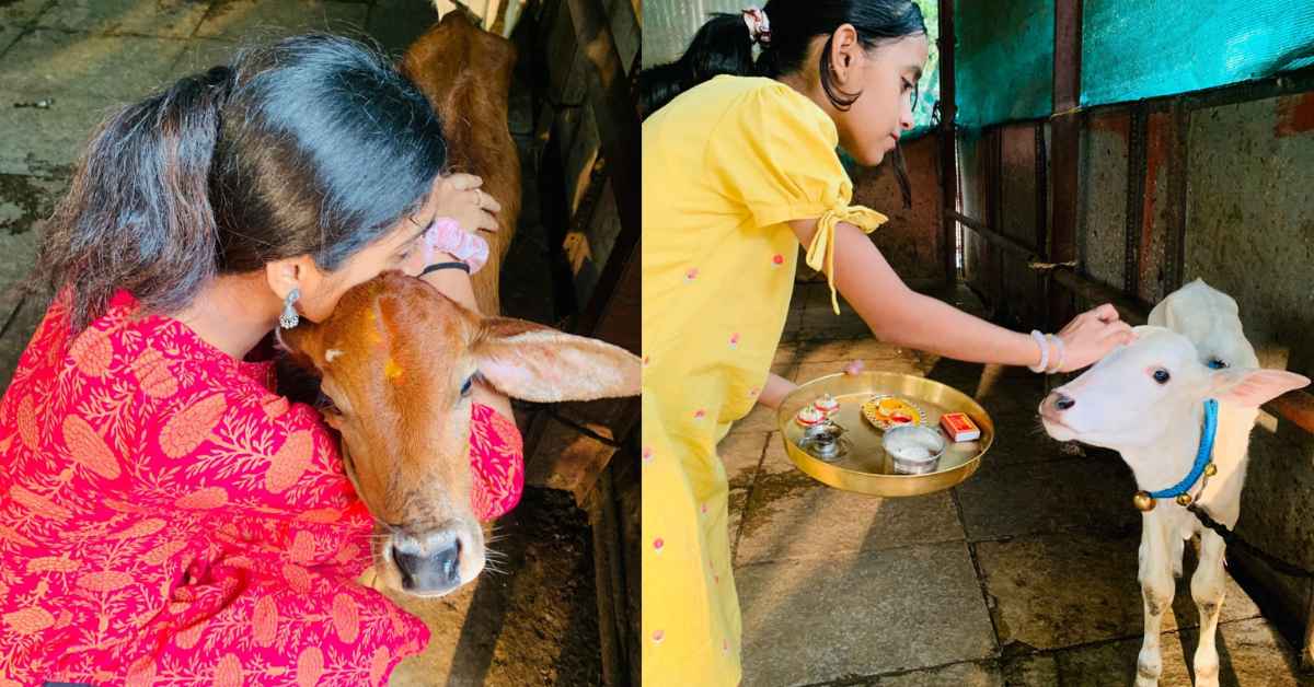 Dhruvi and Diti find themselves happier now, immersed in the company of cows.