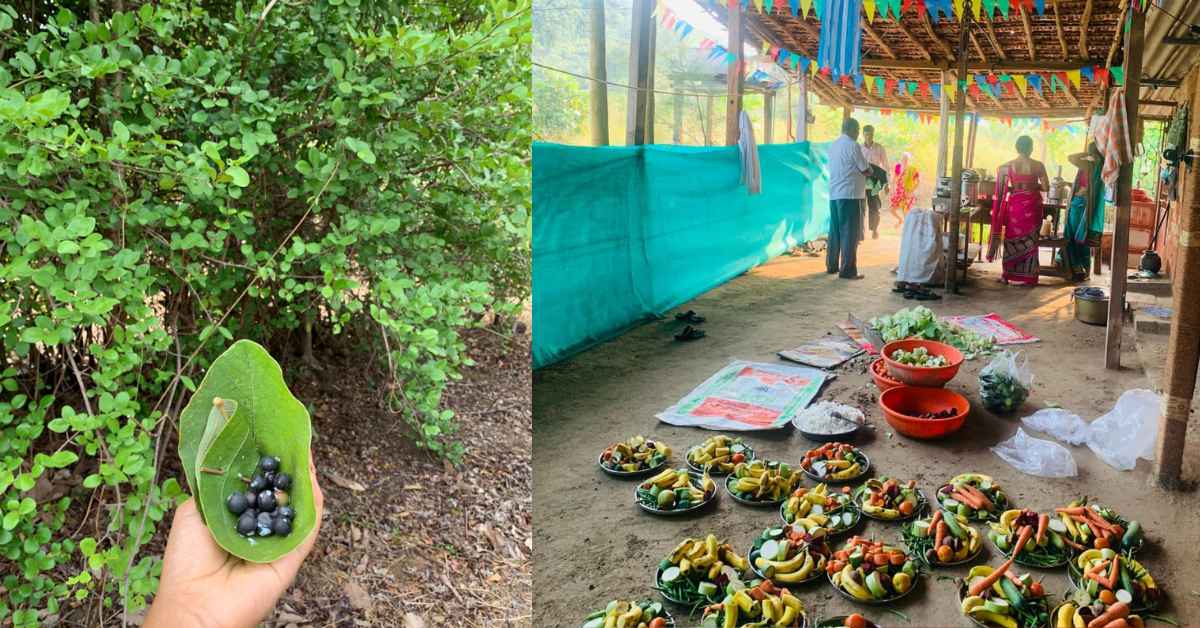 As he transitioned to permaculture, he started educating others about his methods when they saw his farm thriving without pesticides. 