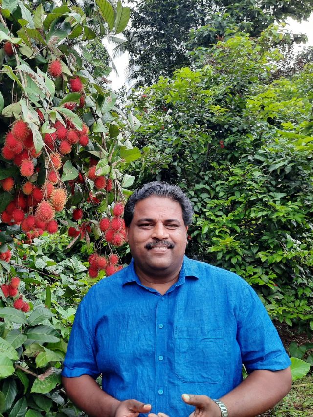 Kerala Farmer Grows Exotic Rambutan Fruits, Earns Rs 15 Lakh/Acre