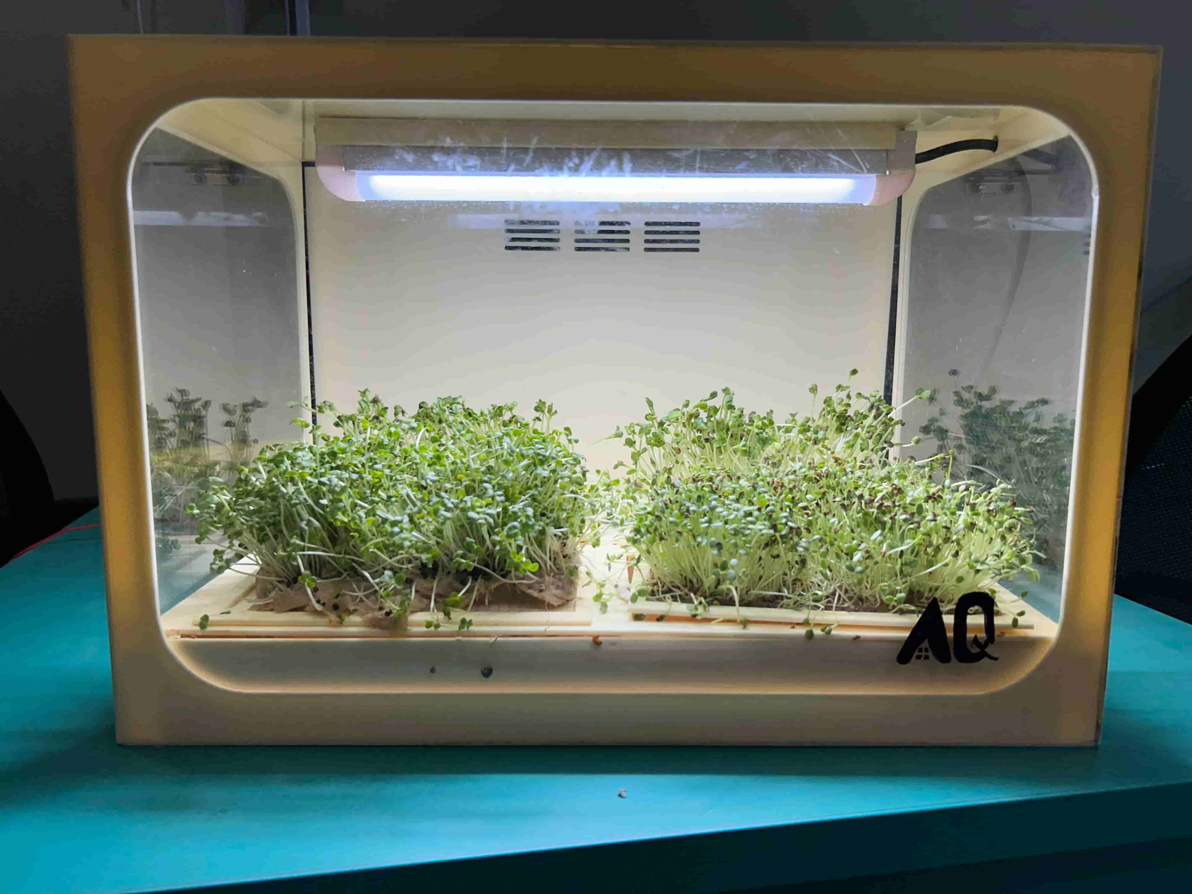 The automated microgreens cultivator