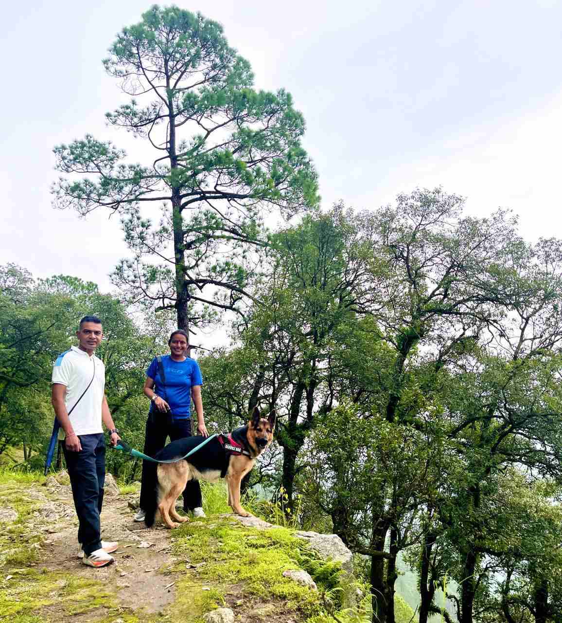 They knew that Lansdowne’s dense forests were perfect for them.