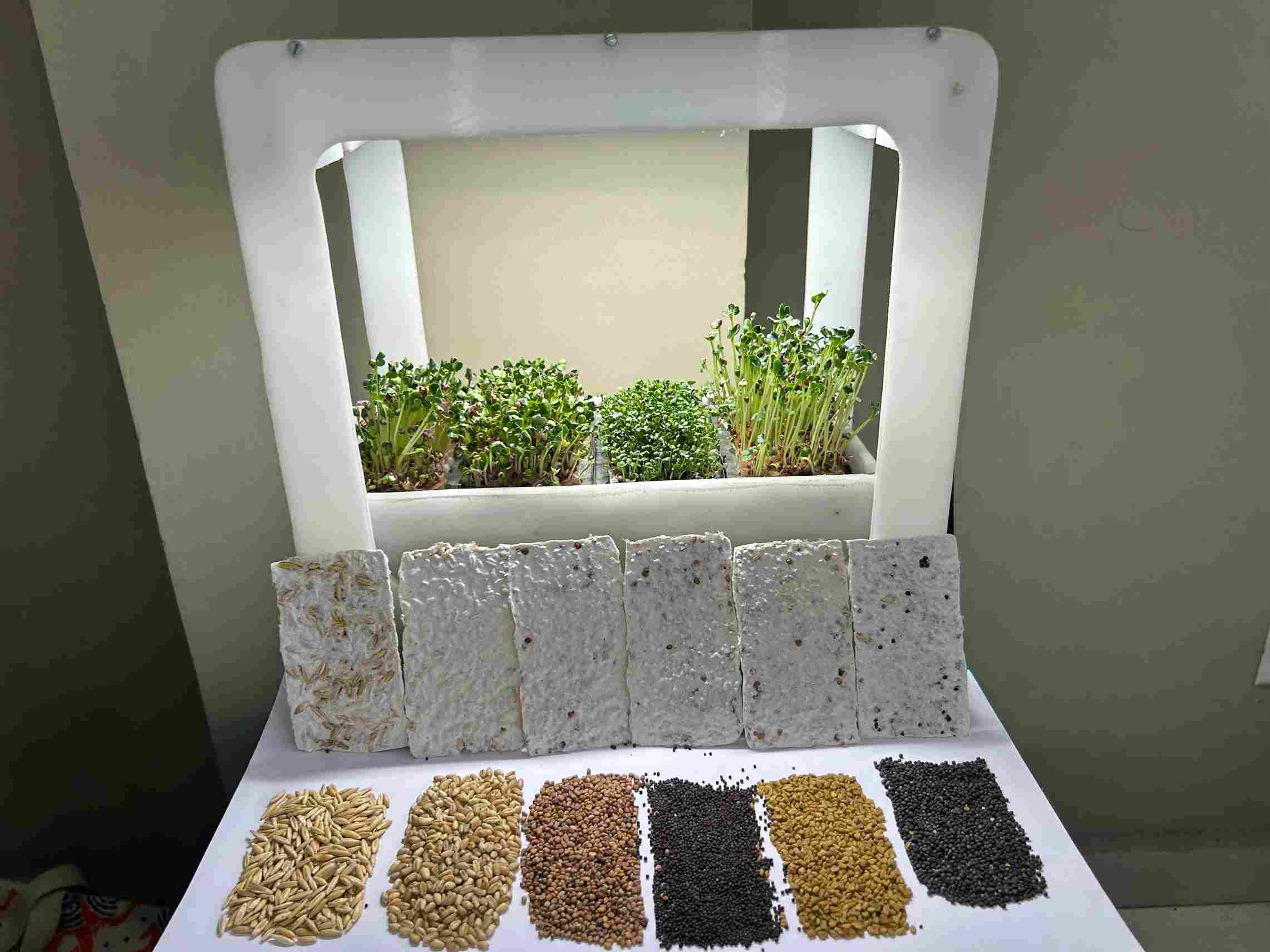 The microgreen cultivator comes with seed patches