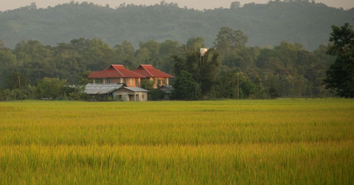 Medini Homestay is a green oasis where fruit, herb and vegetable trees thrive together in a single space 