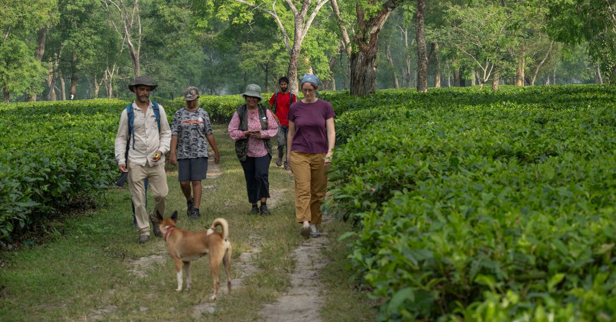 Medini Homestay is set amidst tea and paddy plantations