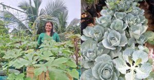 'More Than a Hobby': Kerala Homemaker Saves Rs 5000 Monthly Growing Organic Veggies on Terrace