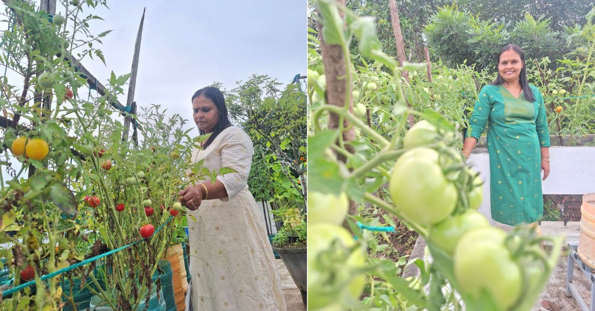 Padma's garden boasts 200 plants of 20 varieties of vegetables. 