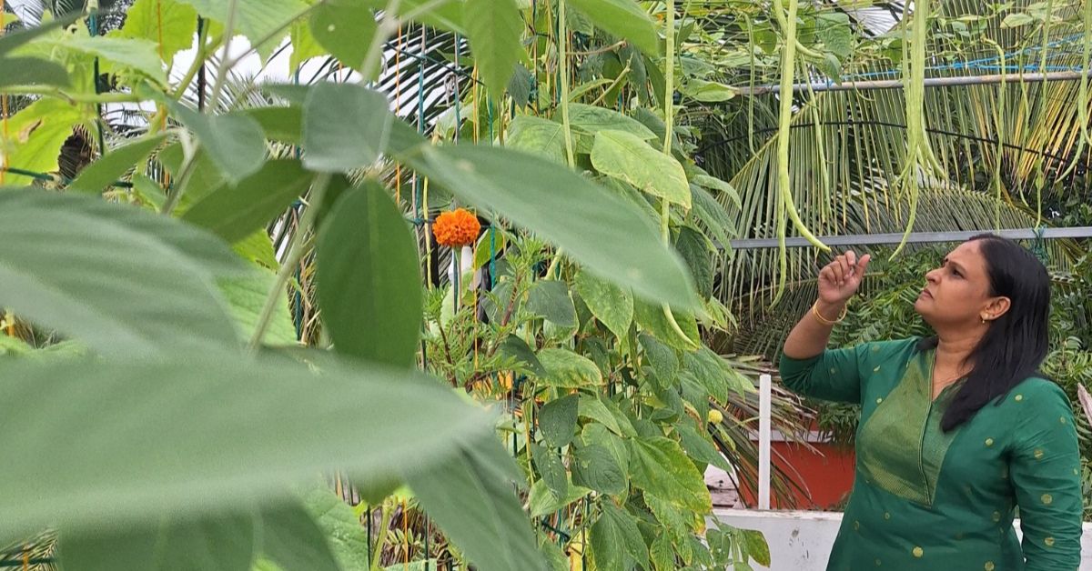 When Padma felt the absence of homegrown vegetables in city, she started growing vegetables on her terrace.