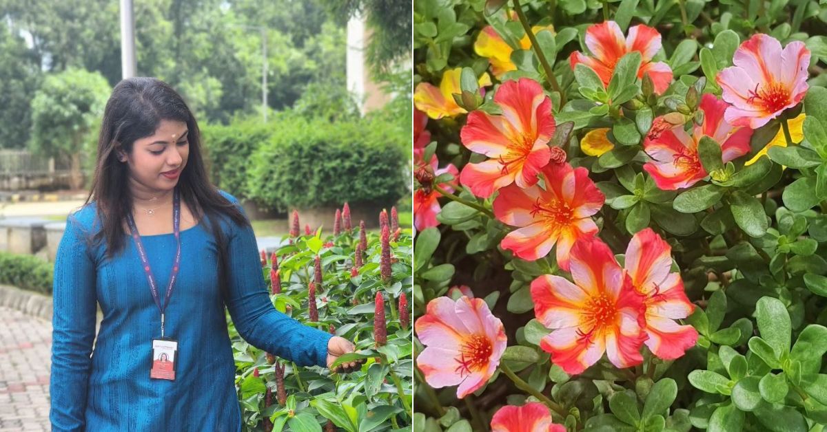 Started as a hobby, Parvathy has transformed her passion of portulaca farming into a profitable venture. 