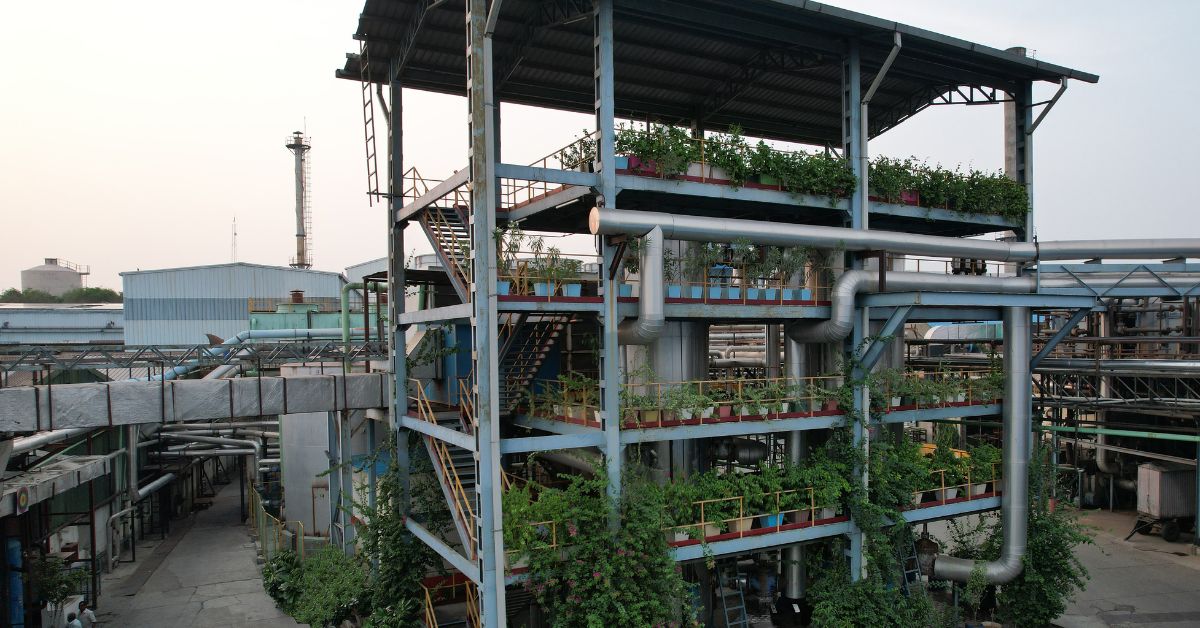 The plant at Hapur has a steam generator which generates thermal energy from biomass 