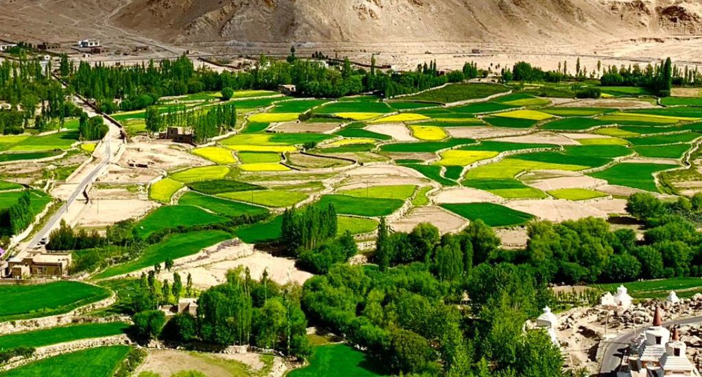 Overview of the fields in Sakti village.