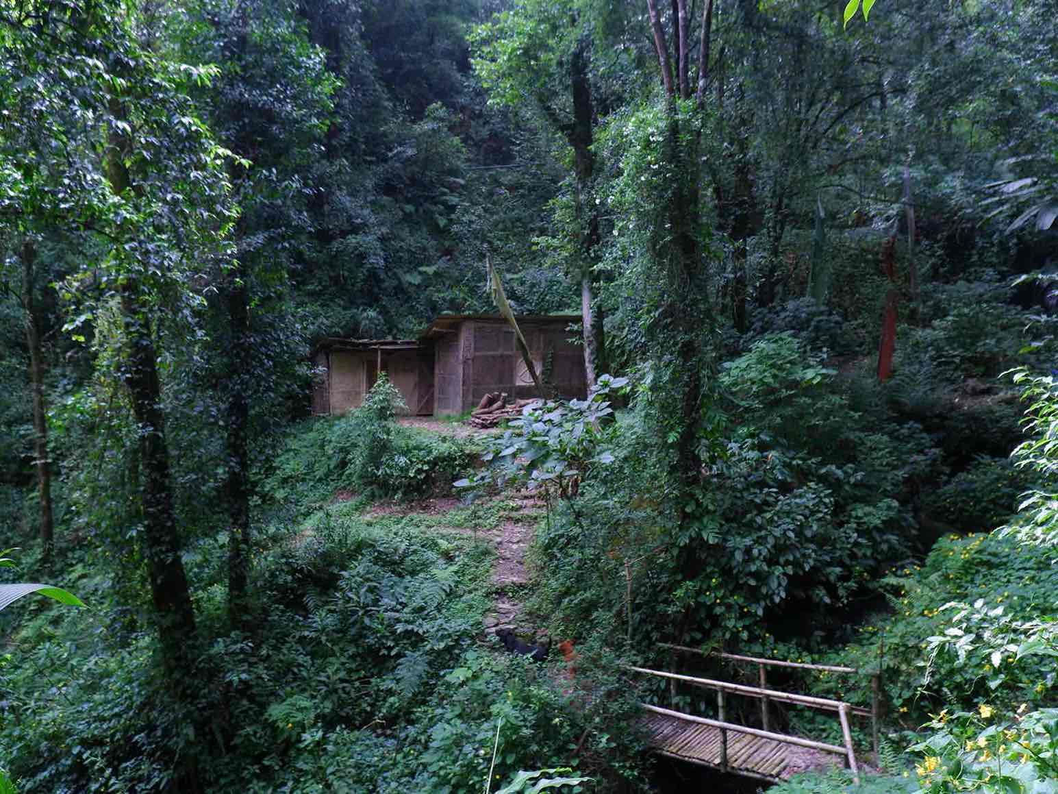 A bamboo bridge over the perennial stream leading to an eco-hut in Tieedi.