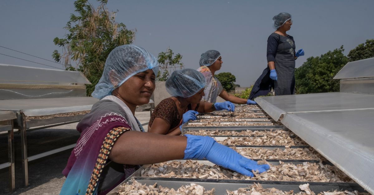  The innovative use of solar-powered dehydration technology transforms discarded produce into shelf-stable food items.