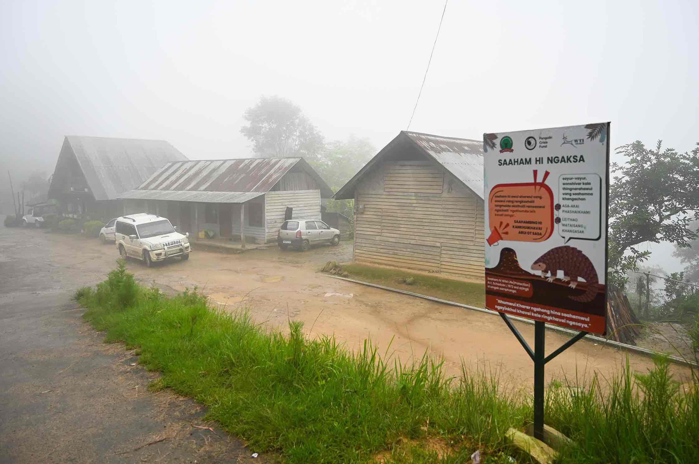 A signboard in Manipur addresses the need to protect pangolins.