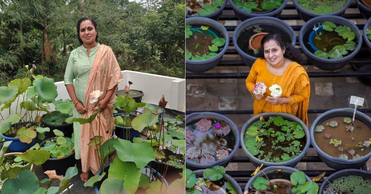 Lathika with her lotus plants.