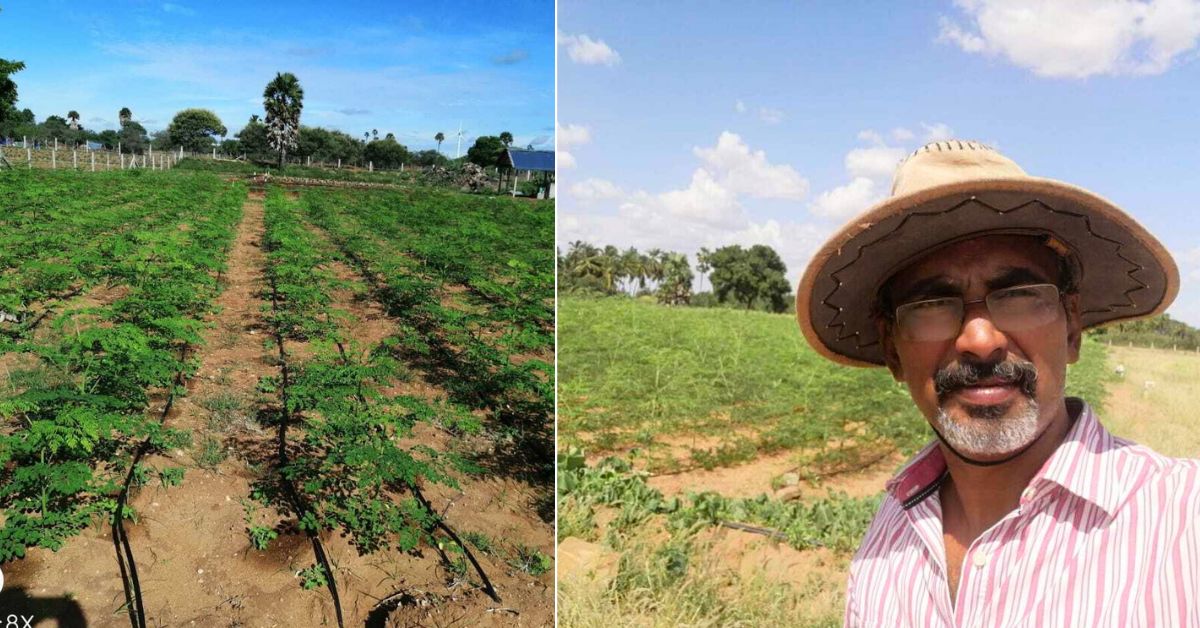 Scientist Turns to Organic Farming with Moringa, Builds Profitable Venture