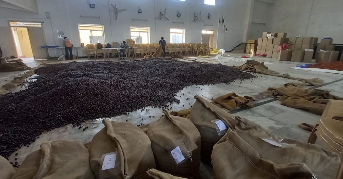 Farmers regularly collect their nutmeg produce at the village centre to sell the end consumer without involving middlemen.