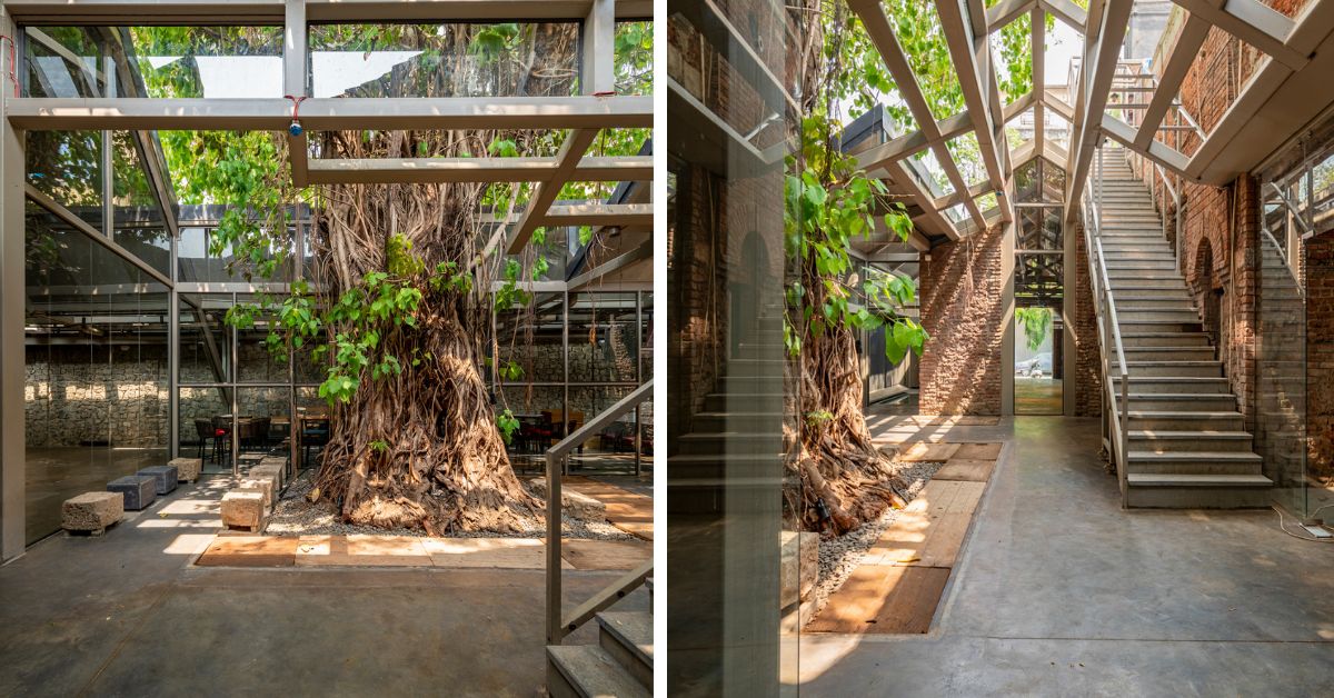 A major portion of the restoration of the Ambico Ice Factory involved repurposing the Burma Teak that was found under the plaster