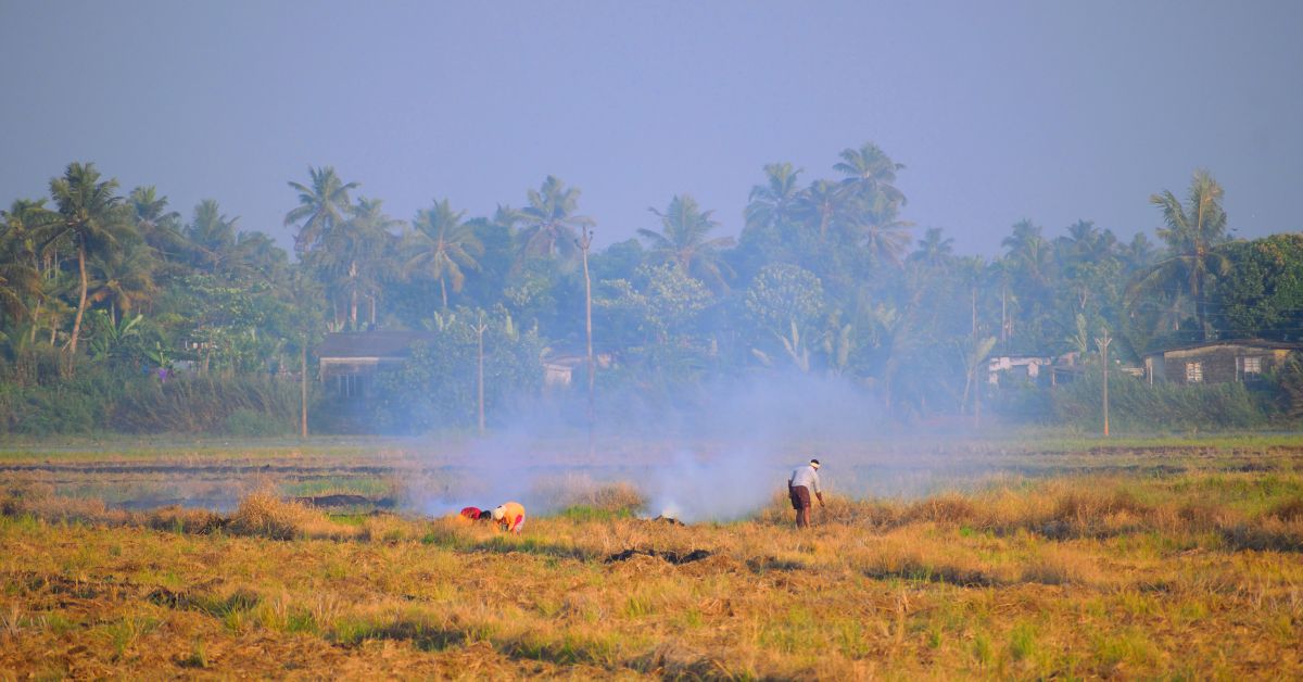 Paddy to Compost in 20 Days: How Merino Industries’ Innovation Is Fighting Stubble Burning