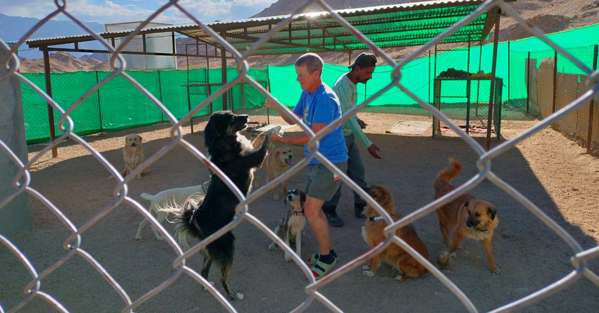 Deena Talbot and Binod Aryal with the dogs at the shelter.