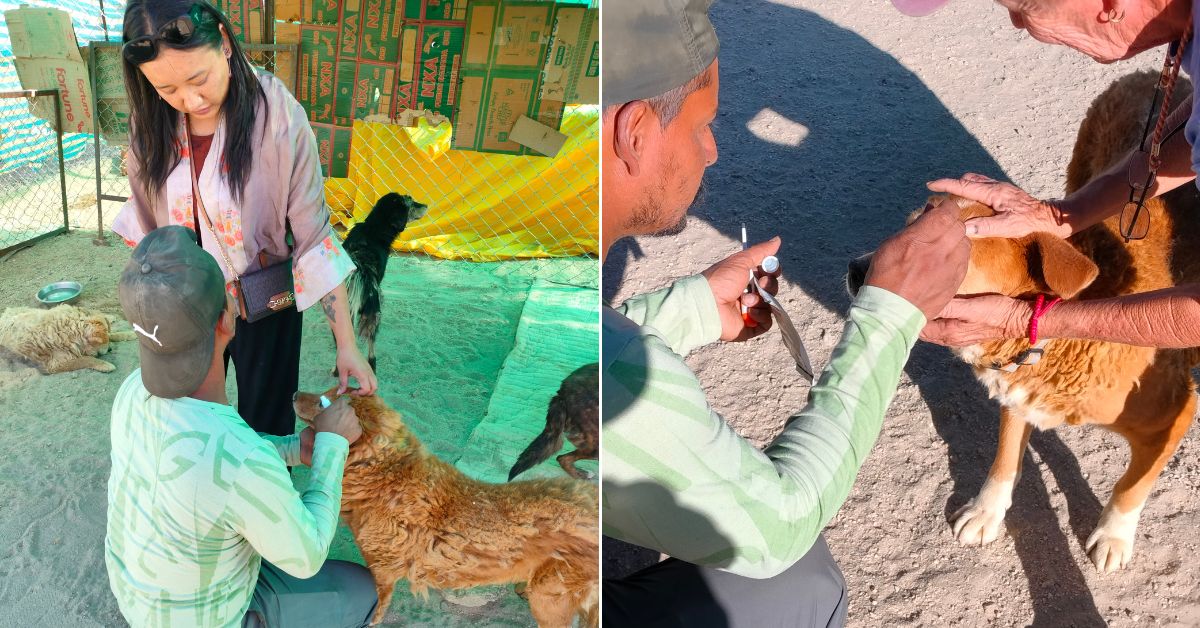 Nurzin Angmo (on the Left) and Binod (on the Right) applying ointment on a sick dog