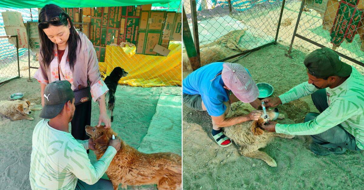 Meet the Ladakhi Woman Building a Safe Haven For 170+ Stray, Abandoned Dogs