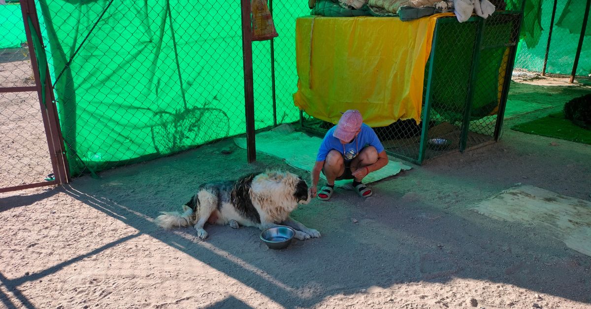 Caring for a stray dog.