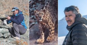 8 Conservationists Who Have Dedicated Their Lives to Protecting Snow Leopards