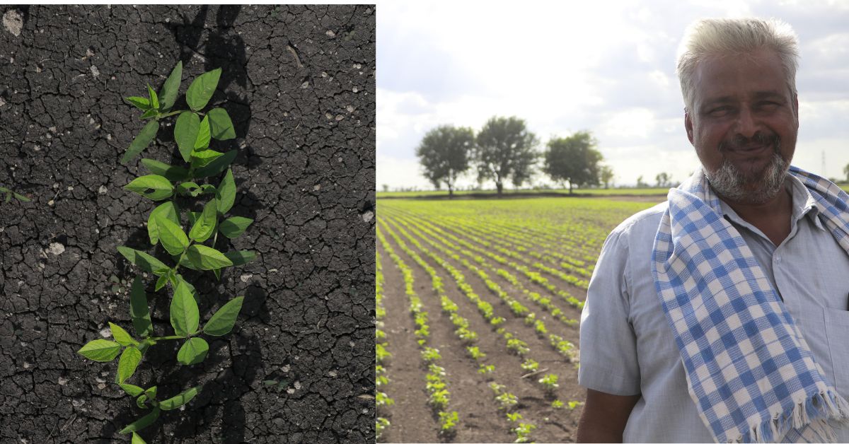 Ishwargowda Basavanagowda Patil has a thriving field of green gram that he cultivates once he has wrapped up his kirana shop operations 