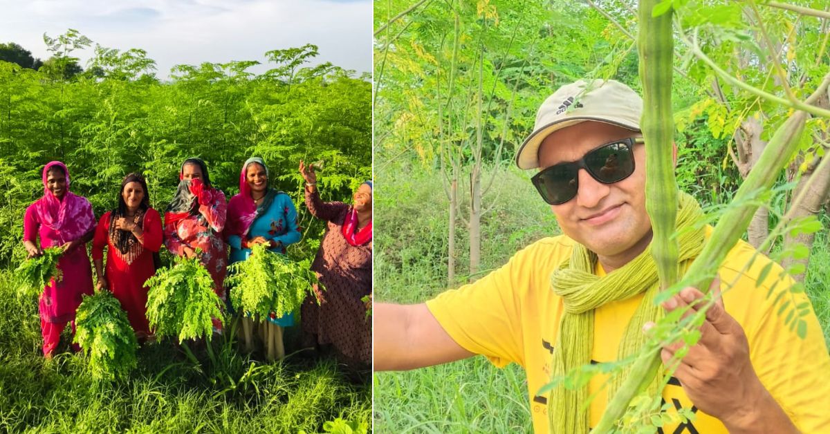 The couple employs many rural women to pluck, clean, and package moringa leaves powder.