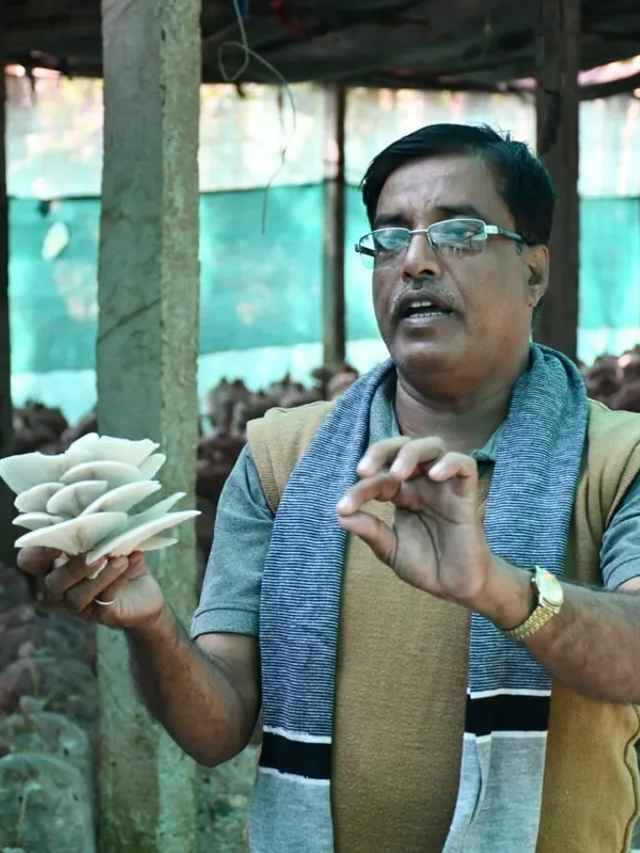 What Can We Learn From This Odisha Man’s Inspiring Mushroom Farming Journey?