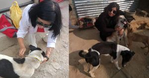 1 Woman’s 8-Kilometre Daily Mission To Save Hundreds of Stray Dogs