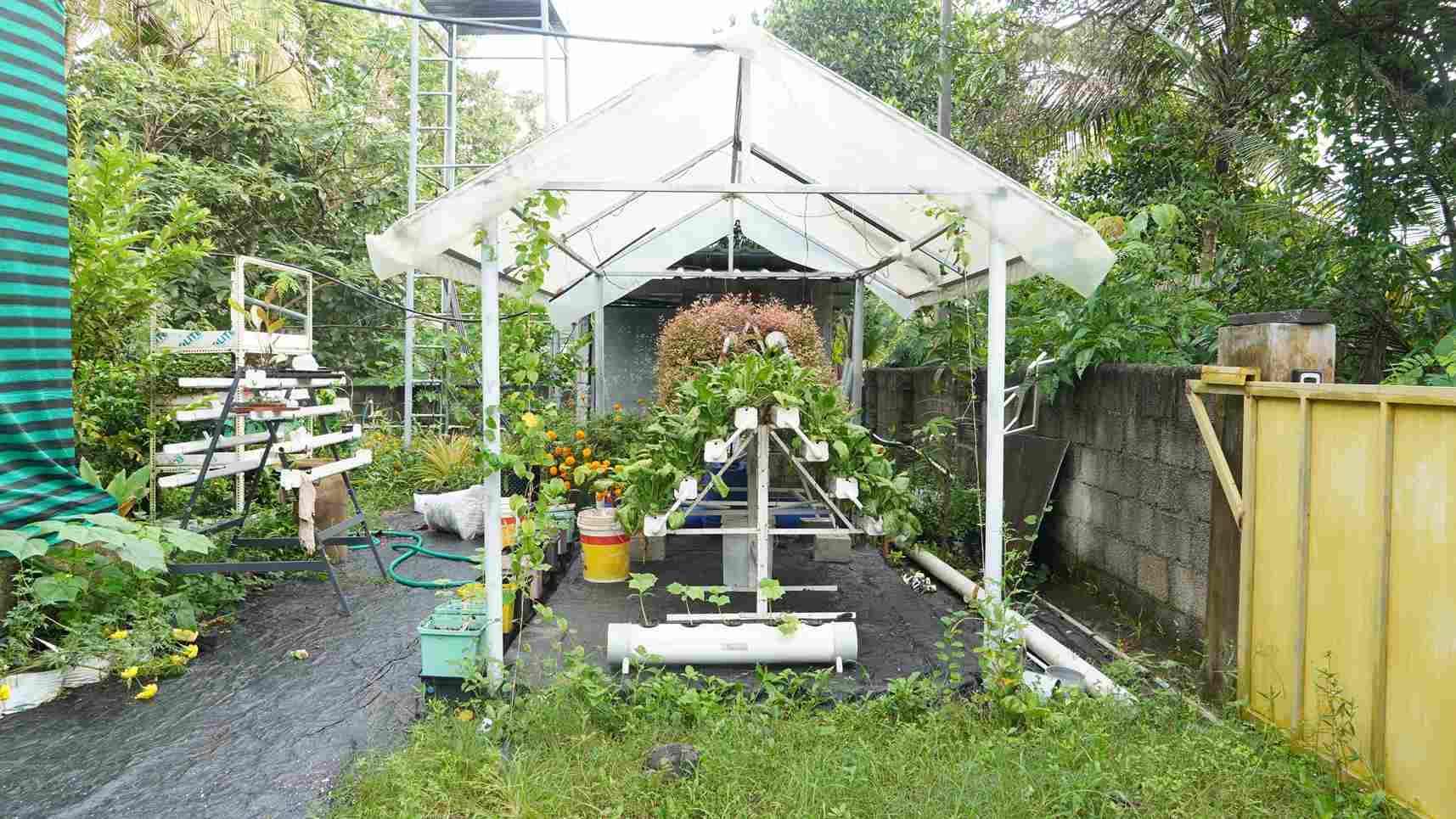 A hydroponic farm with vertically stacked planting systems, utilizing limited space to grow a variety of crops efficiently.