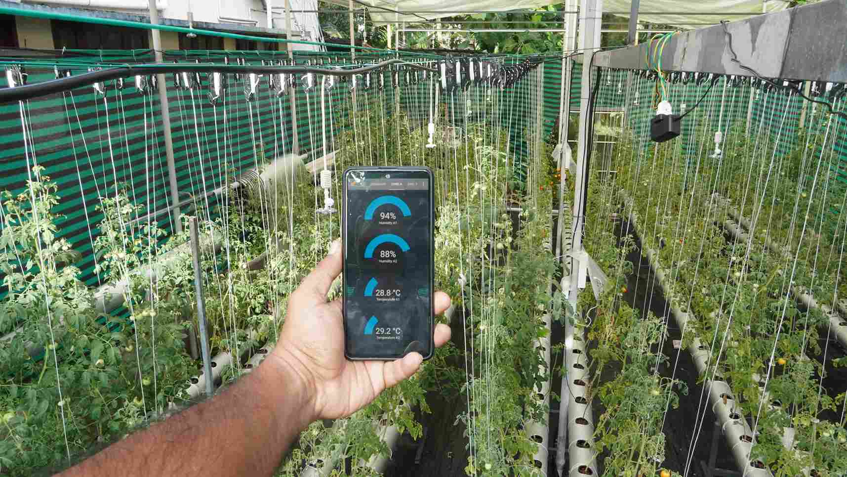 Close-up of a digital sensor system monitoring temperature and humidity in a hydroponic farm, ensuring optimal conditions for plant growth.