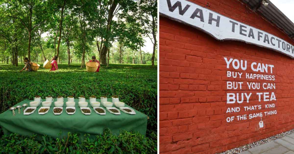 The Wah Tea Estate was started in 1857 by the British and since then has witnessed decades of tea cultivation 