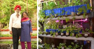 Fighting Delhi’s Smog: How This Couple Turned Their Home Into an AQI 15 Clean-Air Haven