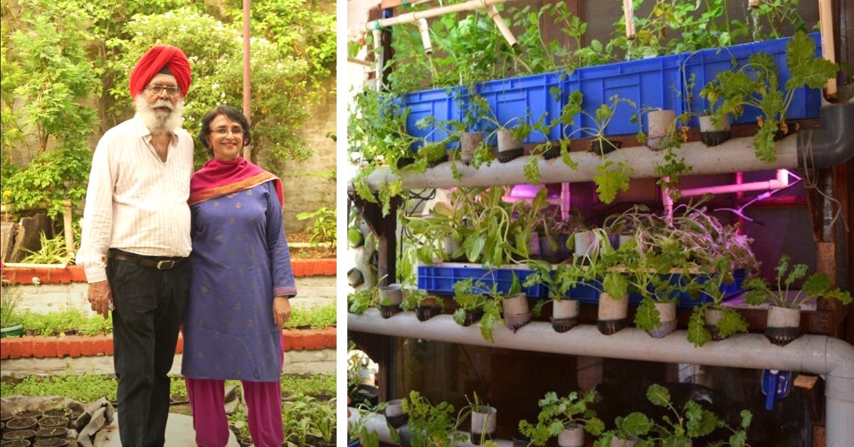 Fighting Delhi’s Smog: How This Couple Turned Their Home Into an AQI 15 Clean-Air Haven