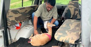 How 1 Man & 1000 WhatsApp Members Are Saving Wildlife in This Rajasthan Village