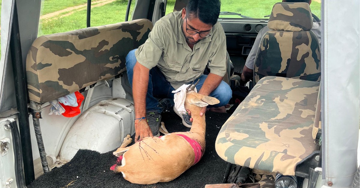 How 1 Man & 1000 WhatsApp Members Are Saving Wildlife in This Rajasthan Village