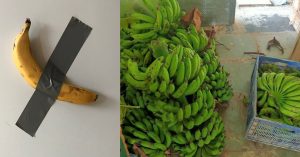 Viral vs Valuable: $6.24 Million Banana on Your Wall or True Fruits of Labour, Earning Rs 50L a Year